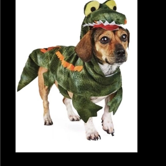 Dog Clothes Bundle Size M - Picture 2 of 5